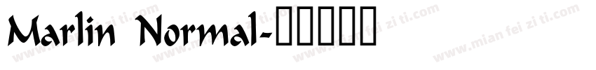 Marlin Normal字体转换